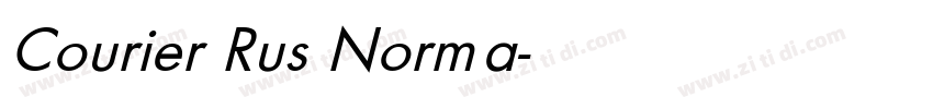 Courier Rus Norma字体转换
